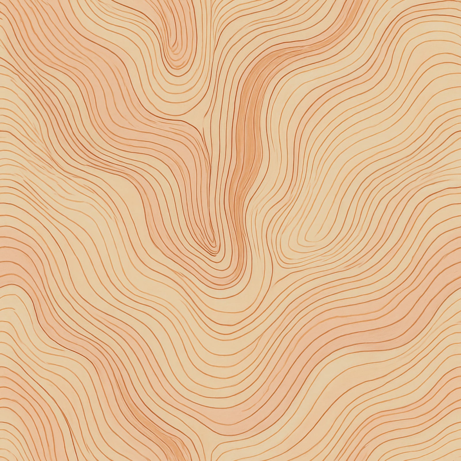 Canyon Lines Wallpaper