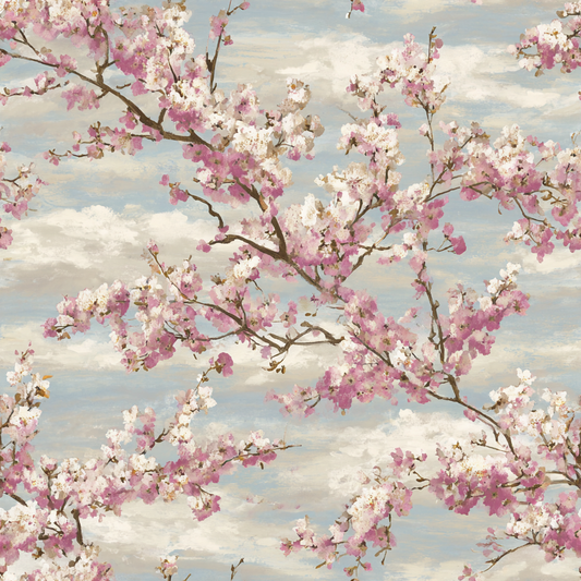 Clouded Sakura Sky Wallpaper