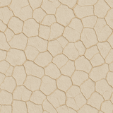 Beige saltpan wallpaper featuring an irregular polygonal pattern with a rough, textured surface.