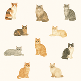 Cat's Meow wallpaper with watercolor cat pattern.