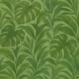 Green leafy wallpaper with monstera and palm frond pattern.