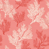 Coraline Shoals wallpaper with coral and branch pattern on a peach background.