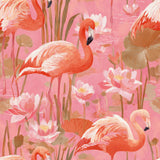 Flamingo and lotus flower wallpaper with pink background, Florenza Lagoon Wallpaper featuring water reflections.