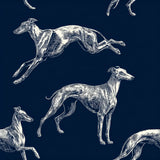 Navy blue wallpaper with a white whippet dog pattern.