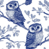 Blue and white owl wallpaper with branches pattern, in a hand-drawn style.