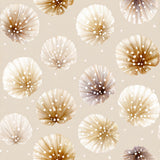 Palladium blush wallpaper with seashell pattern and white dots.
