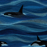Pelagic Drift Orcas Wallpaper