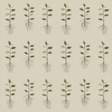 Rootbound ledger wallpaper with plant motif, featuring a repeated pattern of seedlings.
