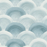 Blue and white wallpaper with concentric half-circle pattern.