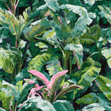 Tropical style wallpaper featuring dense green foliage and bright pink accents.