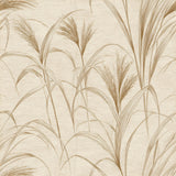 Reedsong wallpaper with beige reeds pattern on a textured background.