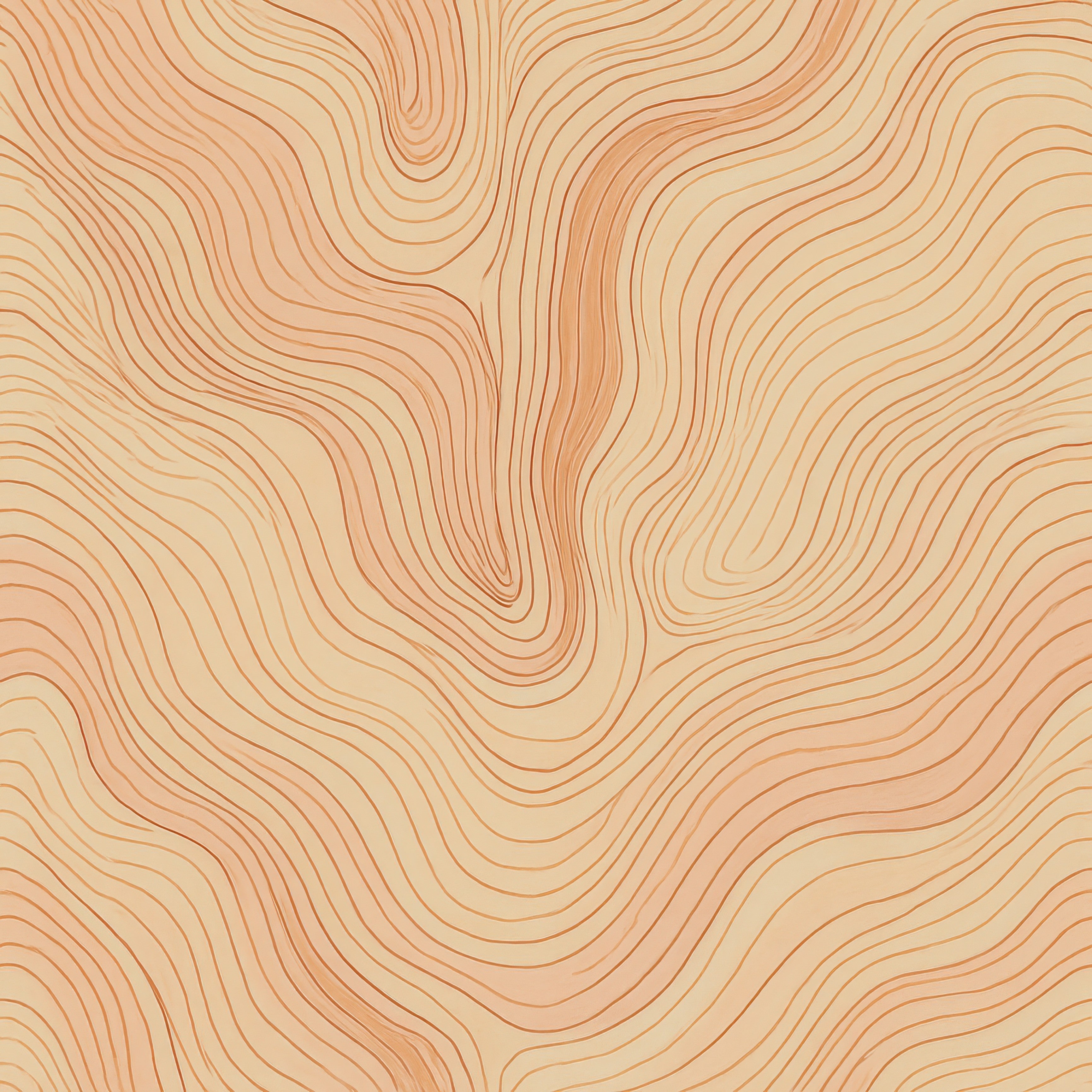 Canyon Lines Wallpaper