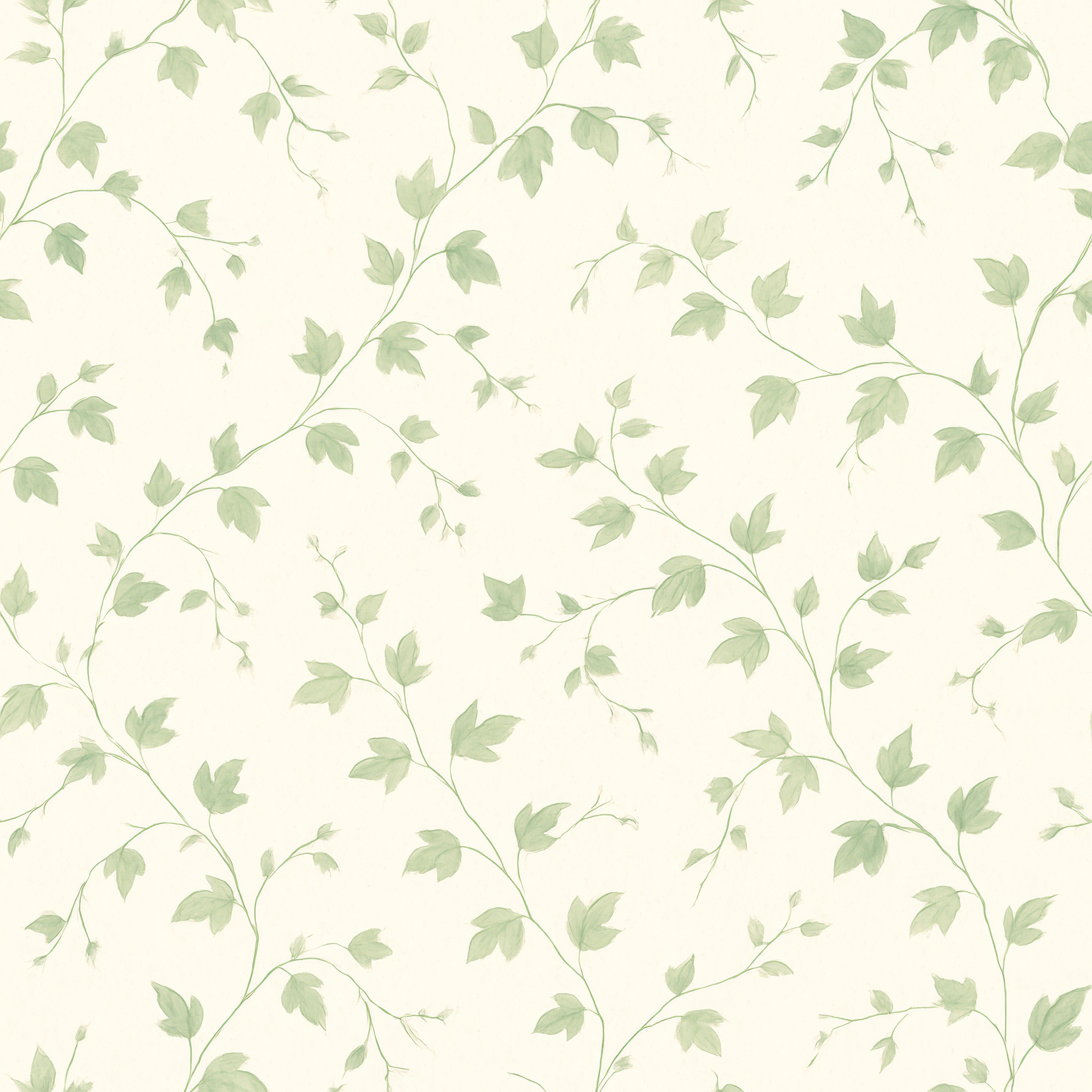 Botanical wallpaper with soft green ivy vines pattern on off-white background.