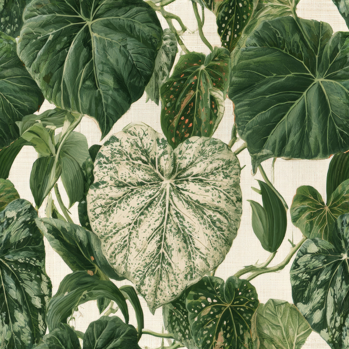 Spotted Caladium Overgrowth — wallpaper pattern