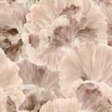 Oyster Petals — wallpaper pattern