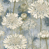 Queen Anne's Lace — wallpaper pattern