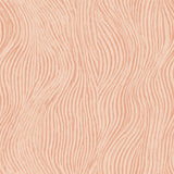 Apricot Current — wallpaper pattern