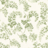 Maidenhair Drift — wallpaper pattern