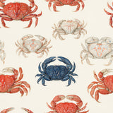Tidepool Specimens — wallpaper pattern
