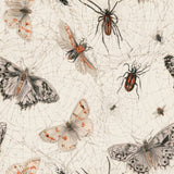 The Specimen Snare — wallpaper pattern