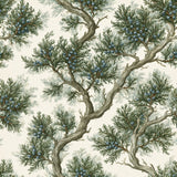 Crooked Juniper — wallpaper pattern
