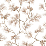 Acorn Draft — wallpaper pattern