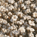 Boll and Branch — wallpaper pattern