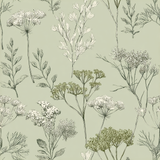 Anisette Grove Wallpaper