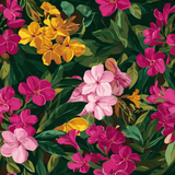 Plumeria Carmine Wallpaper