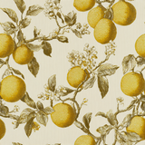 Citrus Script Wallpaper