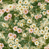 Floral print Marigold Meadow Wallpaper with pink and white daisies and green leaves on a textured background.