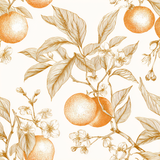 Valencia Grove Wallpaper