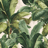 Tropical print wallpaper with green banana leaves and subtle palms in the background.
