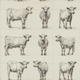 Herd wallpaper with pen and ink cow sketches on a light grid background.

