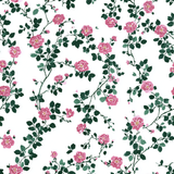 Rosetti Vine Wallpaper with a trailing rose floral pattern.