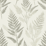 Fern pattern wallpaper with ink accents featuring a leafy design.