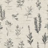 Herbarium Scroll Wallpaper with botanical drawings and faded handwriting effect on a textured beige background.