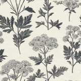 Botanical wallpaper pattern with dark gray herbs on a textured cream background.