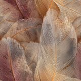 Feather quill wallpaper in mixed brown shades, with intricate line pattern and soft texture.