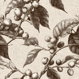 Botanical Arabica Etch Wallpaper with coffee plant illustration, in a vintage style.
