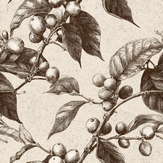 Arabica Etch Wallpaper