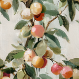 Orchardlight Wallpaper