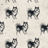 Karelian Hearth Spitz Wallpaper