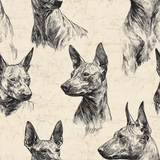 Xolo Bibliotheca Wallpaper