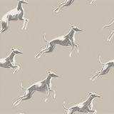 Grey Dash & Form wallpaper with sketched greyhounds scattered across the surface.