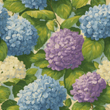 Hydrangea Jubilee wallpaper with blue, purple, and white blossoms amid green leaves.