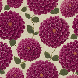 Floral dahlia wallpaper, in shades of pink, with a light beige background and swirling texture.
