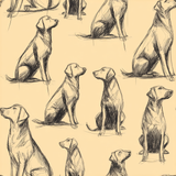 Studio Sketch Labradors Wallpaper