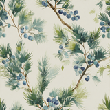 Botanical wallpaper with bitterberry field design by York Wallcoverings, featuring watercolor pine branches and dark blue berries.
