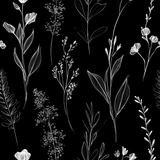 Floral study wallpaper with white botanical line art on a black background.
